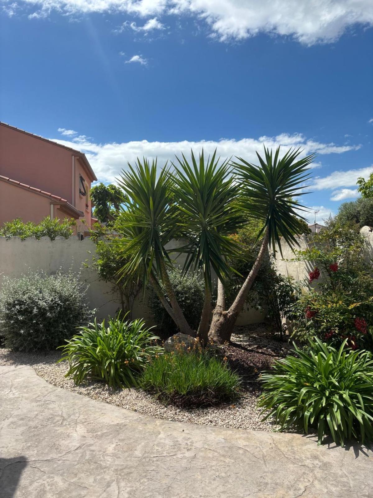 La Maison Brennus , Piscine, 15 Min Des Plages Beziers Exterior photo